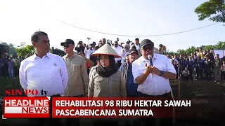 Rehabilitasi 98 Ribu Hektare Sawah Pascabencana Sumatra