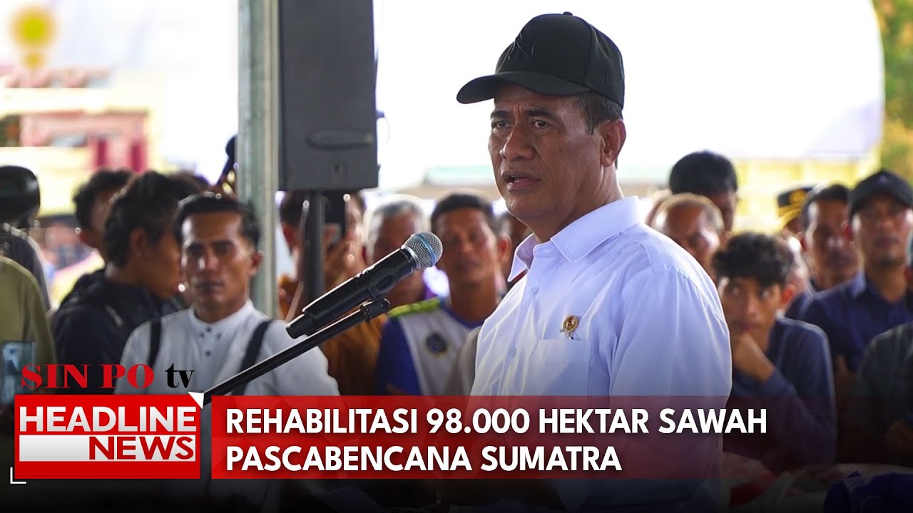 Rehabilitasi 98.000 Hektar Sawah Pascabencana Sumatra