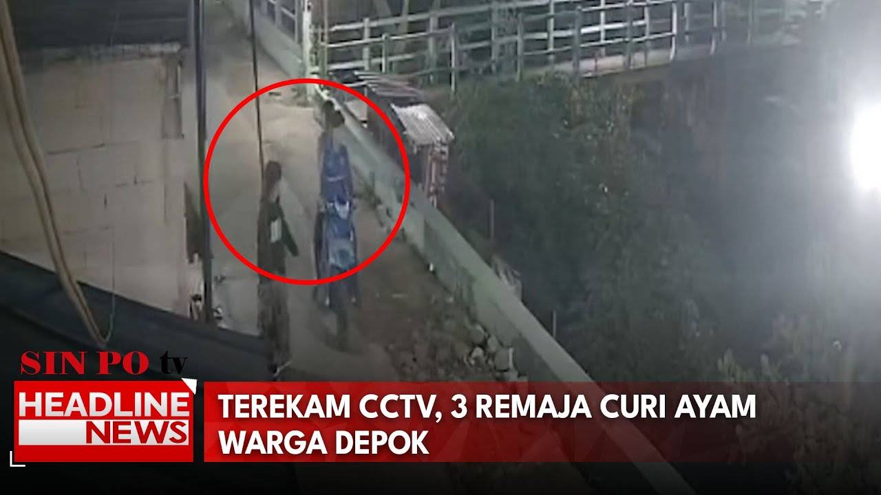 Terekam CCTV, 3 Remaja Curi Ayam Warga Depok