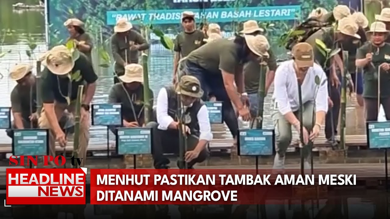 Menhut Pastikan Tambak Aman Meski Ditanami Mangrove