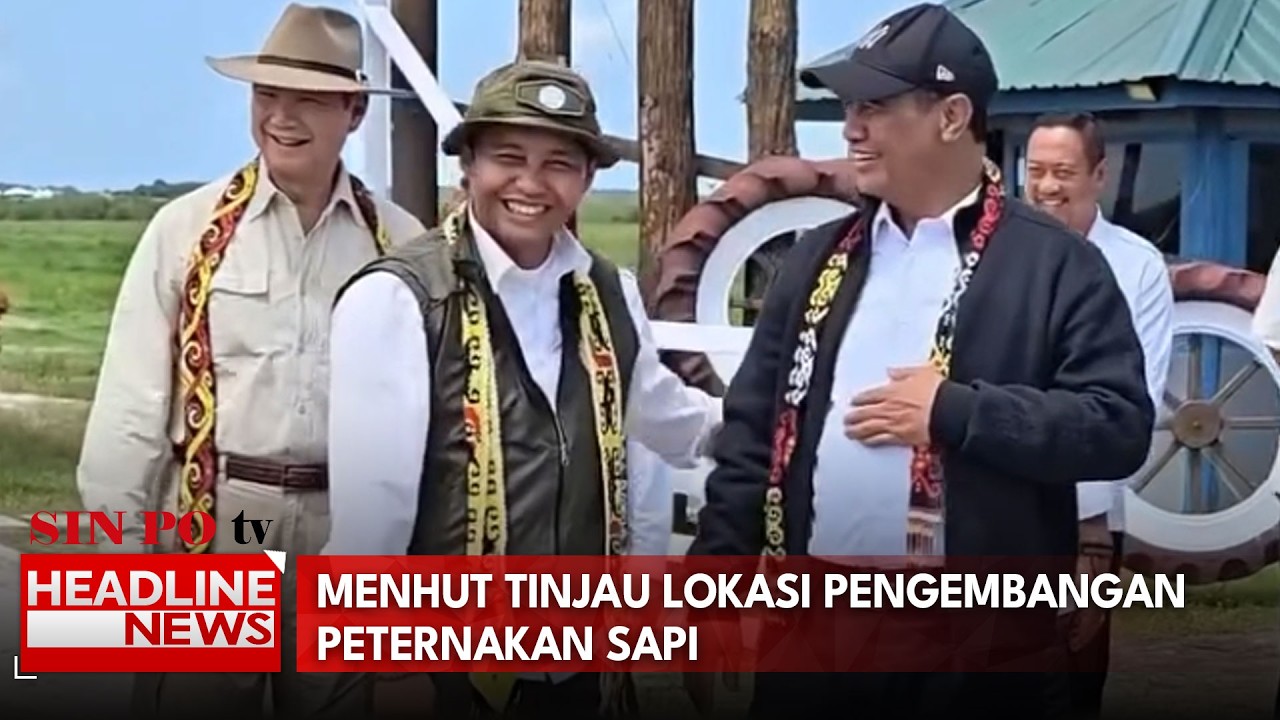 Menhut Tinjau Lokasi Pengembangan Peternakan Sapi
