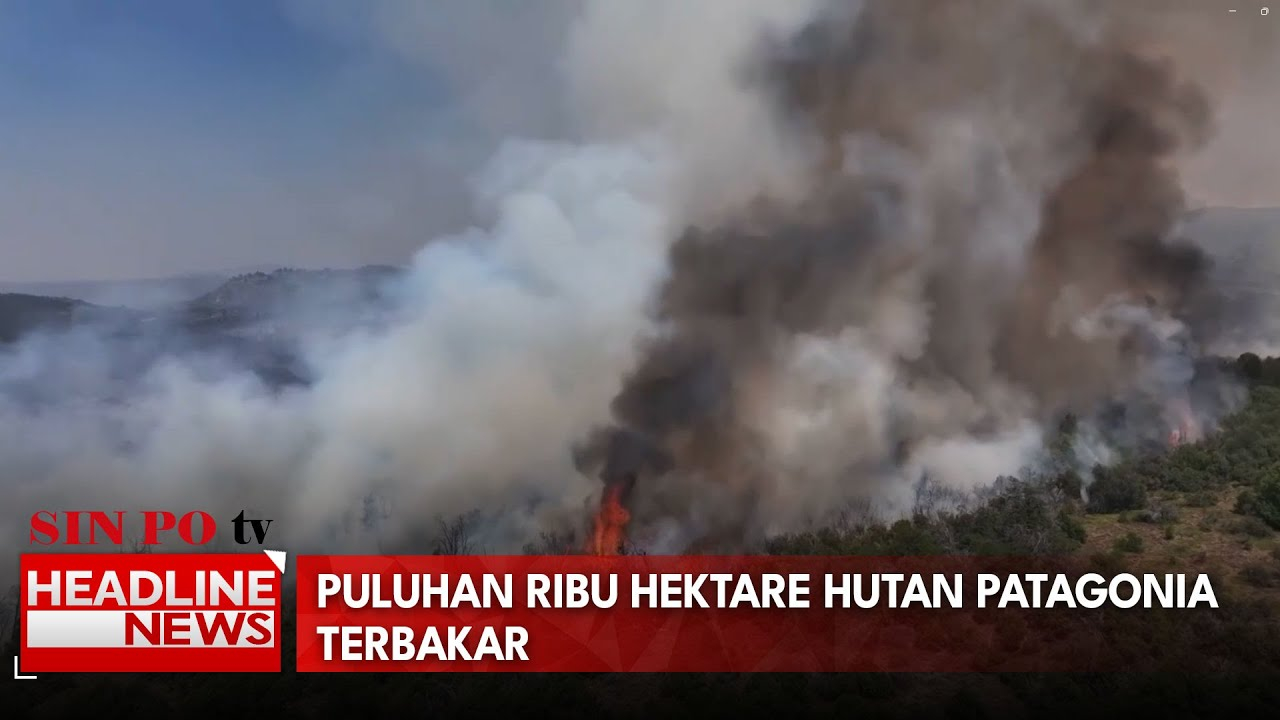 Puluhan Ribu Hektare Hutan Patagonia Terbakar