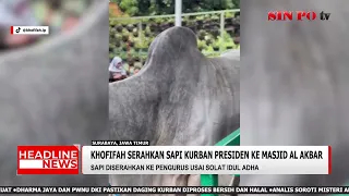 Khofifah serahkan sapi kurban presiden ke Masjid Al Akbar Surabaya