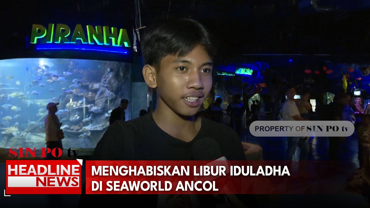 Menghabiskan Libur Iduladha Di Seaworld Ancol