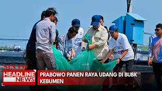 Prabowo Panen Raya Udang di BUBK Kebumen