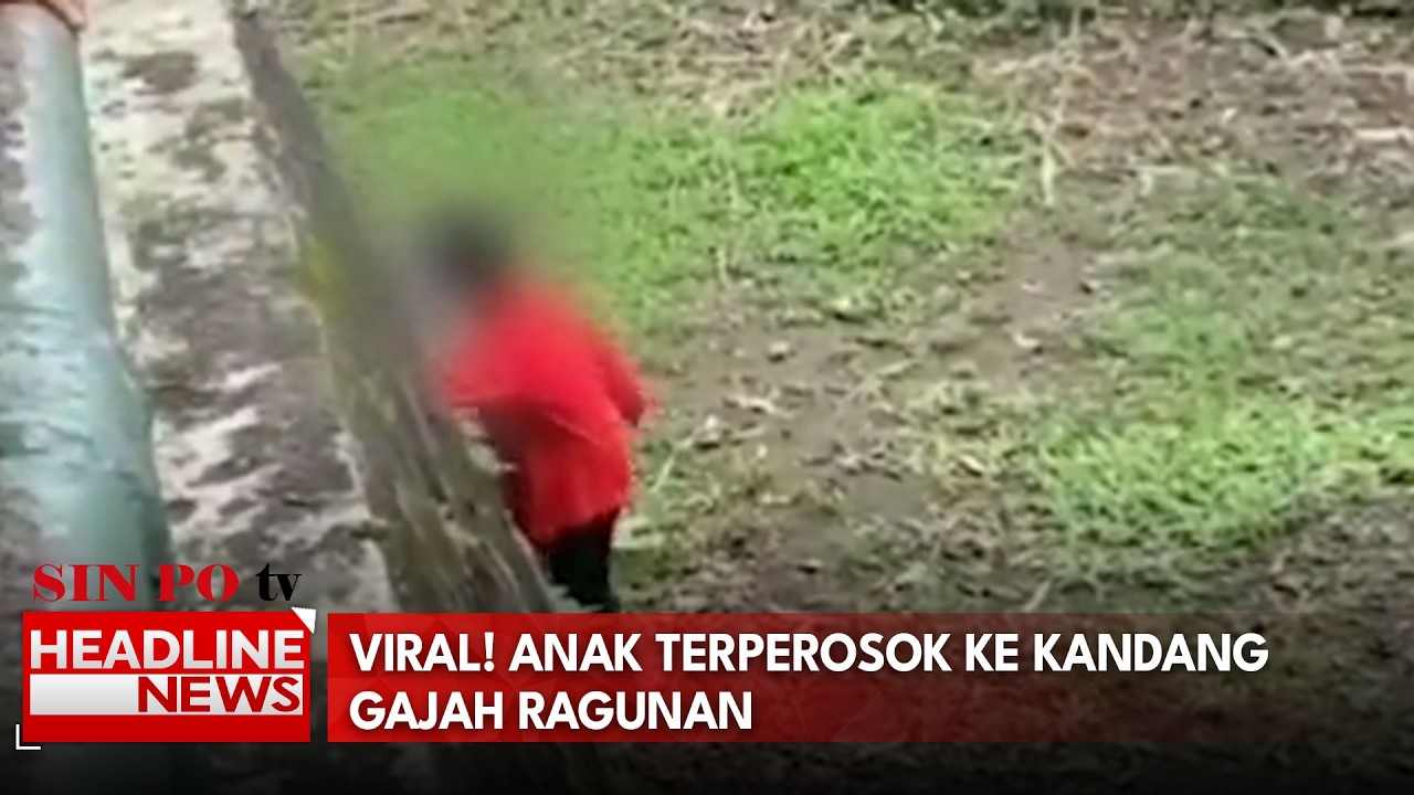 Viral! Anak Terperosok ke Kandang Gajah Ragunan