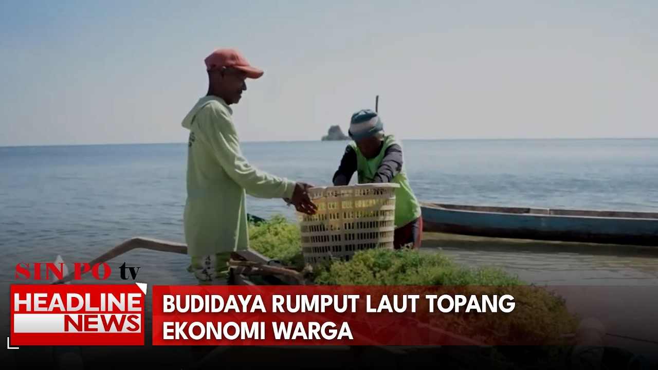 Budidaya Rumput Laut Topang Ekonomi Warga
