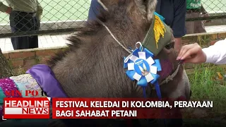 Festival Keledai Di Kolombia, Perayaan Bagi Sahabat Petani