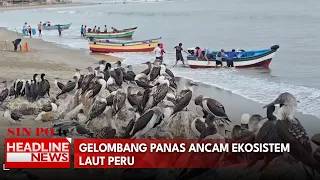 Gelombang Panas Ancam Ekosistem Laut Peru