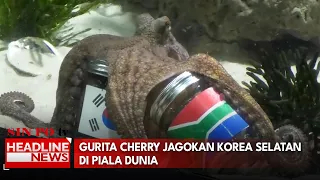 Gurita Cherry Jagokan Korea Selatan di Piala Dunia
