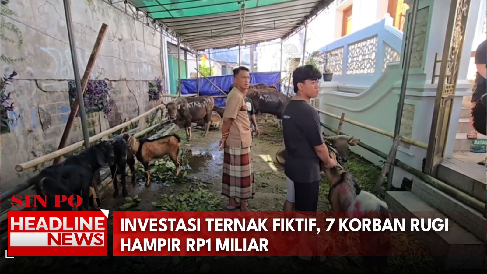 Investasi Ternak Fiktif, 7 Korban Rugi Hampir Rp1 Miliar