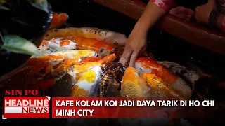 Kafe Kolam Koi Jadi Daya Tarik di Ho Chi Minh City