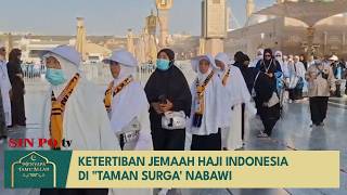 Ketertiban Jemaah Haji Indonesia di "Taman Surga' Nabawi