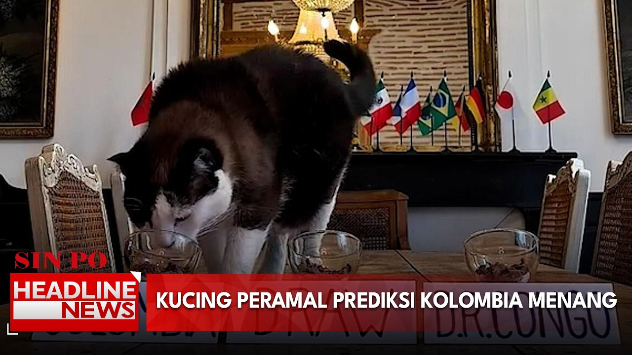Kucing Peramal Prediksi Kolombia Menang