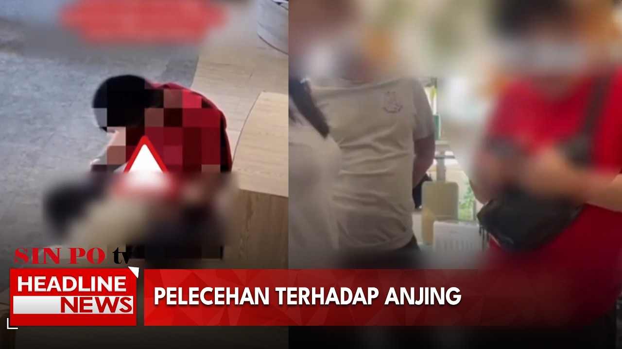 Pelecehan Terhadap Anjing