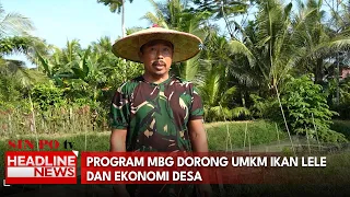 Program MBG Dorong UMKM Ikan Lele Dan Ekonomi Desa