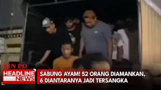 Sabung Ayam! 52 Orang Diamankan, 6 Diantaranya Jadi Tersangka