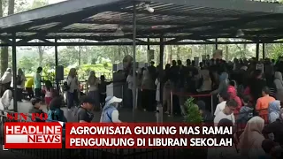 Agrowisata Gunung Mas Ramai Pengunjung Di Liburan Sekolah