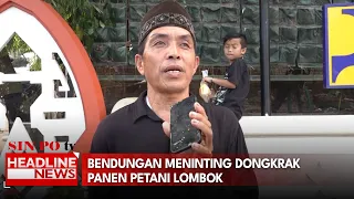 Bendungan Meninting Dongkrak Panen Petani Lombok