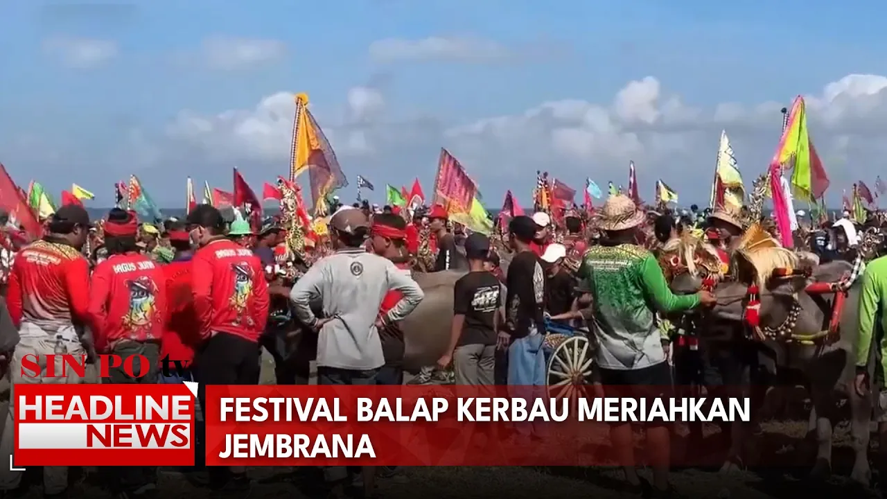Festival Balap Kerbau Meriahkan Jembrana