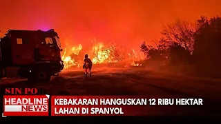Kebakaran Hanguskan 12 Ribu Hektar Lahan Di Spanyol