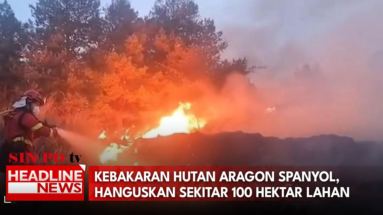 Kebakaran Hutan Aragon Spanyol, Hanguskan Sekitar 1.000 Hektare Lahan