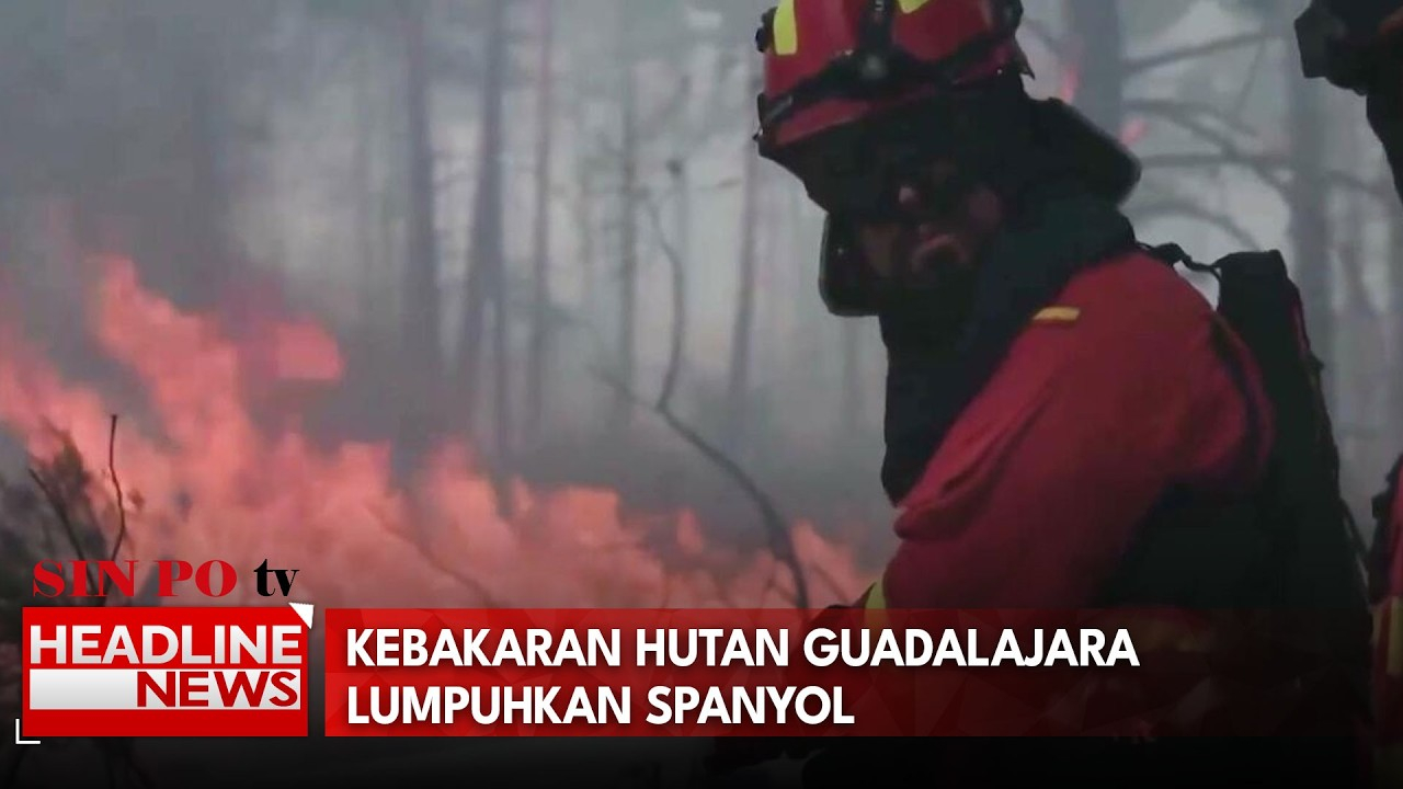 Kebakaran Hutan Guadalajara Lumpuhkan Spanyol