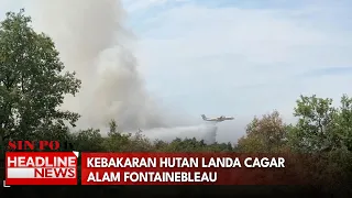 Kebakaran Hutan Landa Cagar Alam Fontainebleau