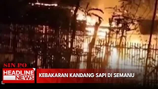 Kebakaran Kandang Sapi di Semanu