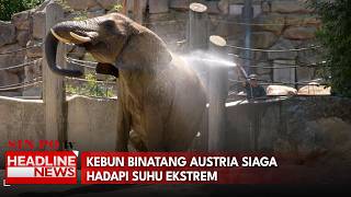 Kebun Binatang Austria Siaga Hadapi Suhu Ekstrem