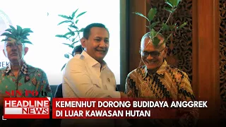 Kemenhut Dorong Budidaya Anggrek Di Luar Kawasan Hutan