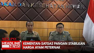 Kementan-Satgas Pangan Stabilkan Harga Ayam Peternak