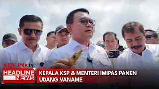 Kepala KSP & Menteri Imipas Panen Udang Vaname