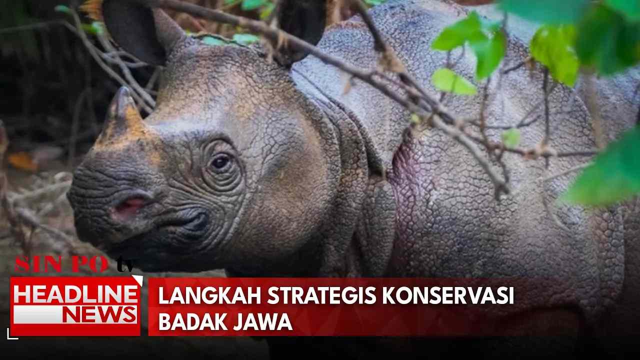 Langkah Strategis Konservasi Badak Jawa