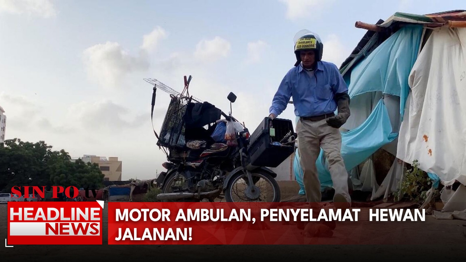 Motor Ambulan, Penyelamat  Hewan Jalanan!