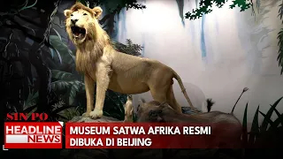 Museum Satwa Afrika Resmi Dibuka Di Beijing