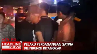 Pelaku Perdagangan Satwa Dilindungi Ditangkap
