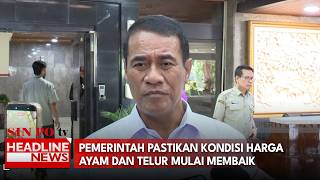 Pemerintah Pastikan Kondisi Harga Ayam Dan Telur Mulai Membaik