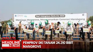 Pemprov DKI Tanam 24.310 Bibit Mangrove
