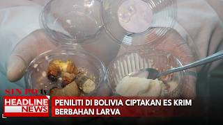 Peniliti Di Bolivia Ciptakan Es Krim Berbahan Larva