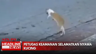 Petugas Keamanan Selamatkan Nyawa Kucing