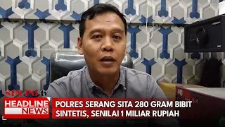 Polres Serang Sita 280 Gram Bibit Sintetis, Senilai 1 Miliar Rupiah