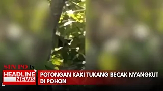 Potongan Kaki Tukang Becak Nyangkut Di Pohon