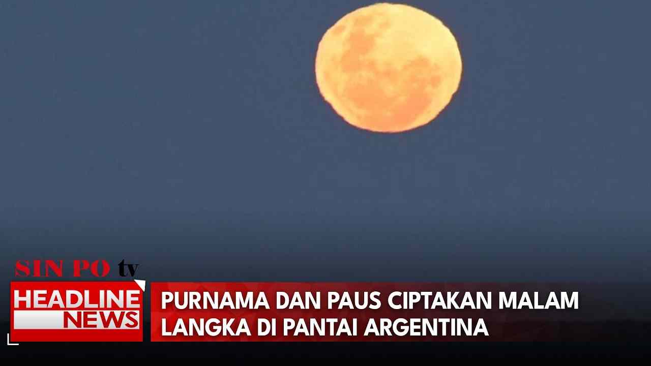 Purnama dan Paus Ciptakan Malam Langka di Pantai Argentina