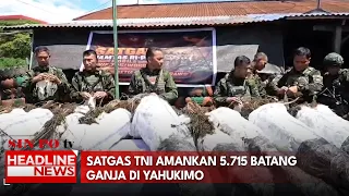 Satgas TNI Amankan 5.715 Batang Ganja Di Yahukimo