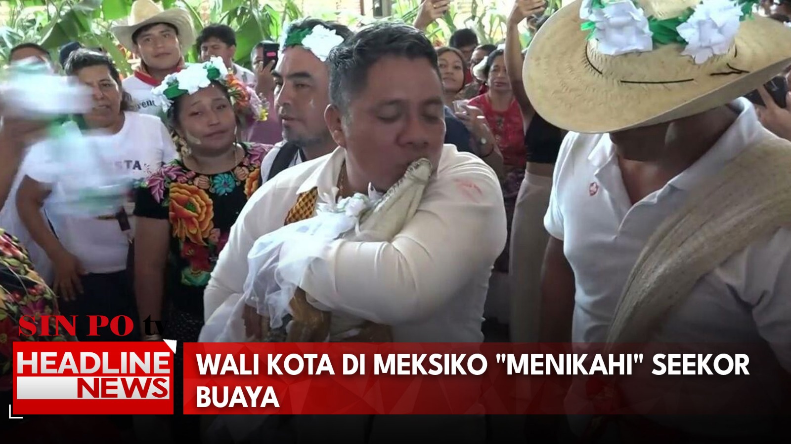 Wali Kota Di Meksiko "Menikahi" Seekor Buaya