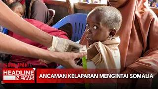 Ancaman Kelaparan Mengintai Somalia
