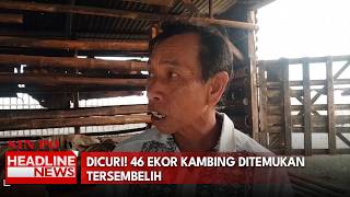 Dicuri! 46 Ekor Kambing Ditemukan Tersembelih