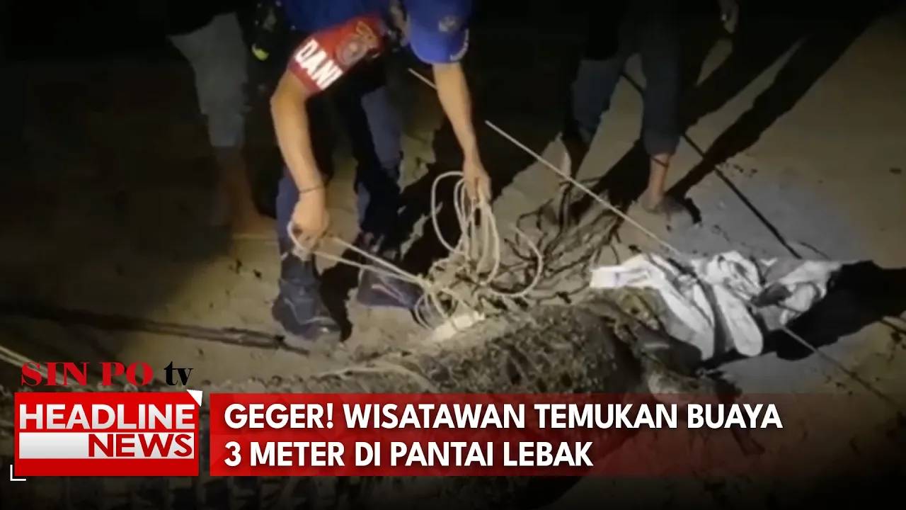 Geger! Wisatawan Temukan Buaya 3 Meter Di Pantai Lebak 1