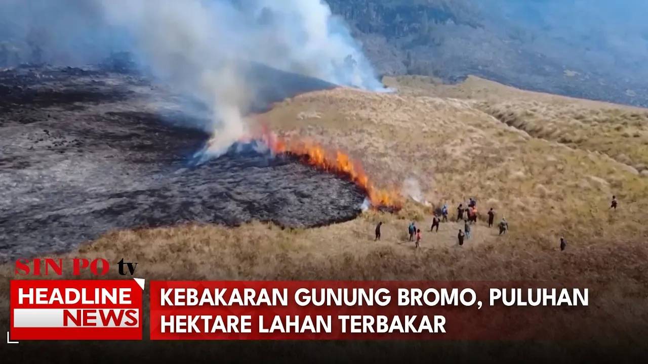 Kebakaran Gunung Bromo, Puluhan Hektare Lahan Terbakar